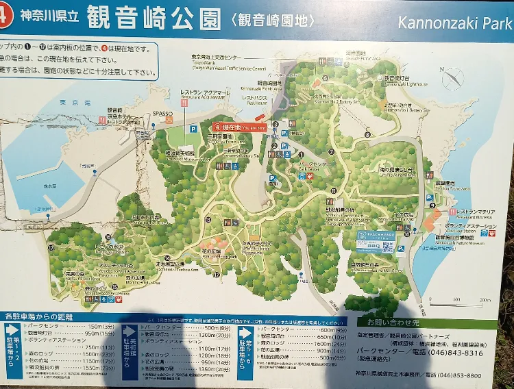 観音崎公園の案内図