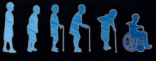 lifecycle　老人の体の変化