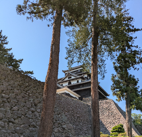 matsuejyo